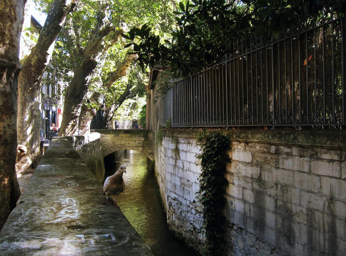 L'Heure Bleue - Charme Et Histoire Au Coeur D'Avignon Daire Dış mekan fotoğraf